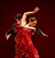 /album/fotogaleria/bailaores-jpg1/