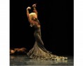 /album/fotogaleria/bc11-jpg/